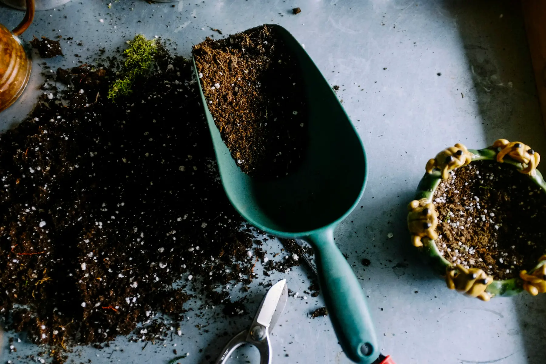 Hand tools and soil for garden care